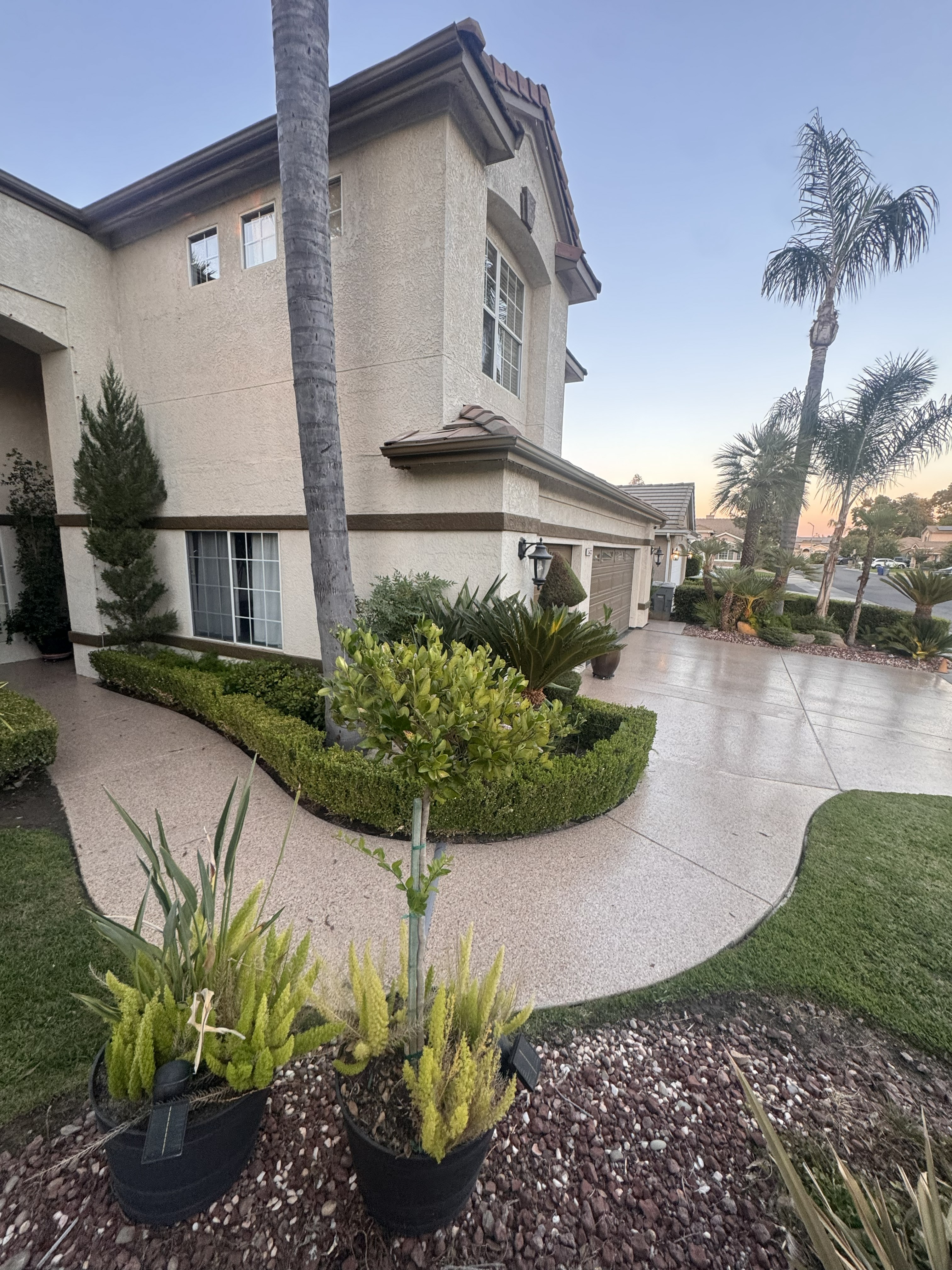 Epoxy flake driveway with palm trees